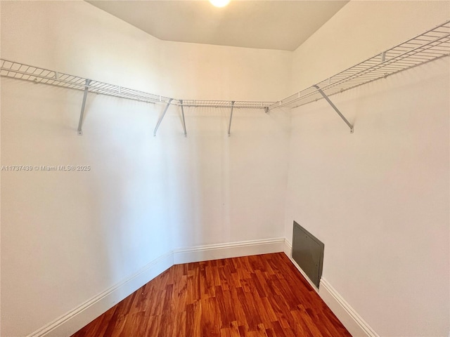 walk in closet with wood-type flooring