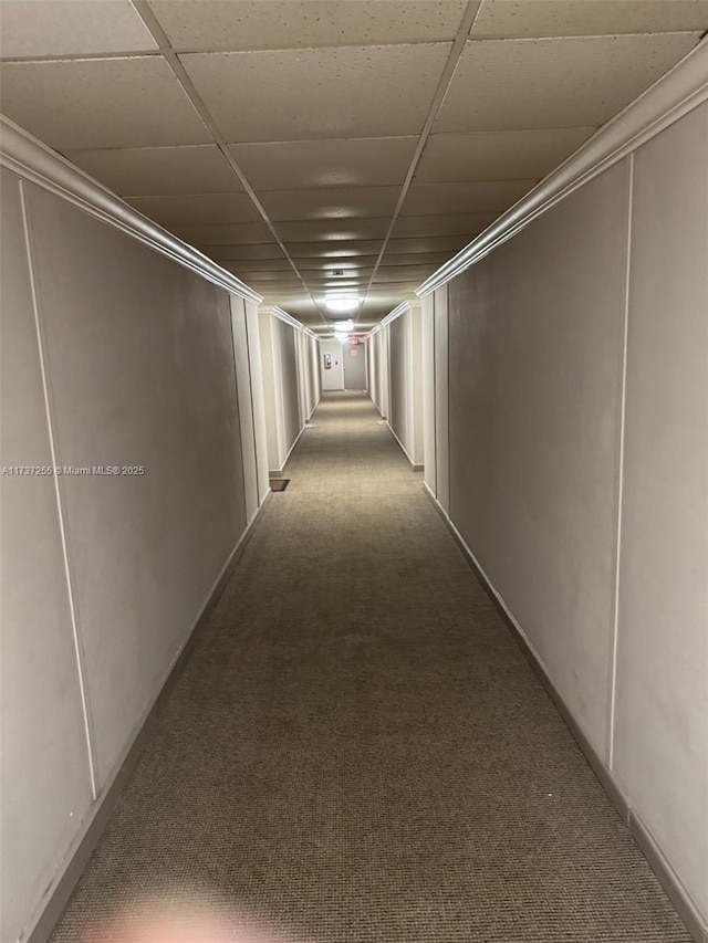 corridor featuring light carpet, crown molding, and a drop ceiling