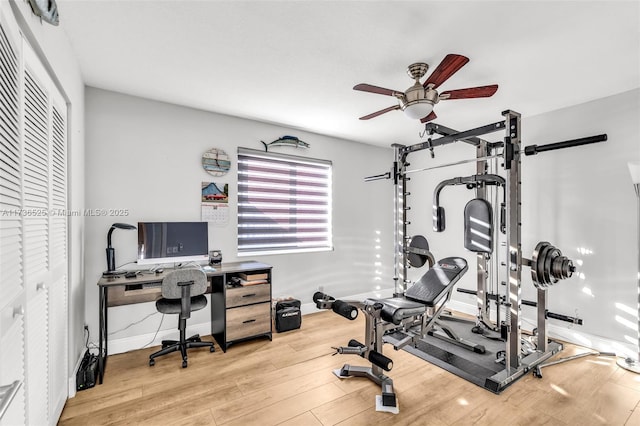 workout room with hardwood / wood-style flooring and ceiling fan