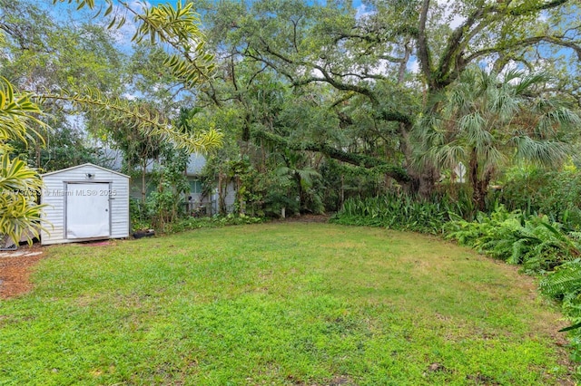 view of yard with a shed