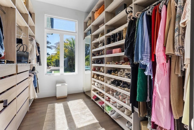 walk in closet with dark wood-type flooring