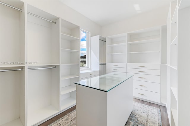 walk in closet featuring hardwood / wood-style flooring