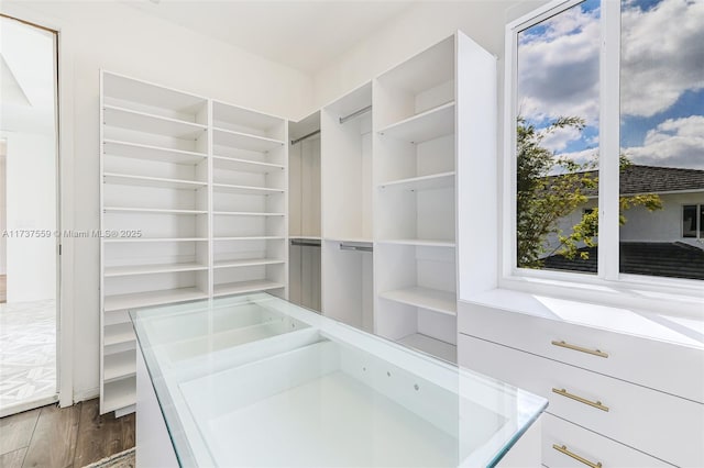 spacious closet with dark hardwood / wood-style floors