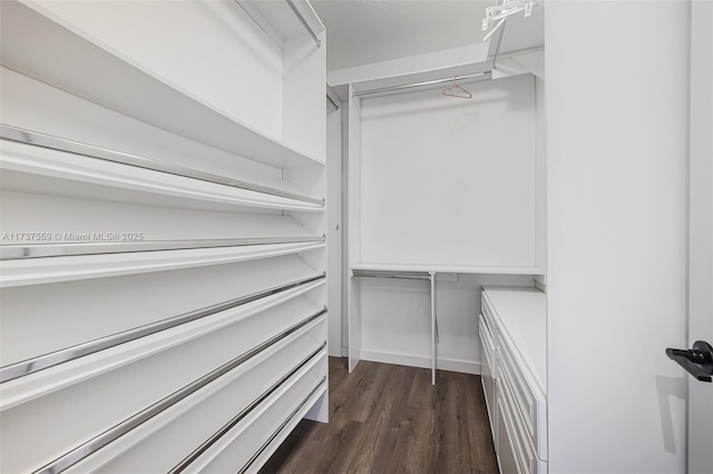 spacious closet featuring dark hardwood / wood-style flooring