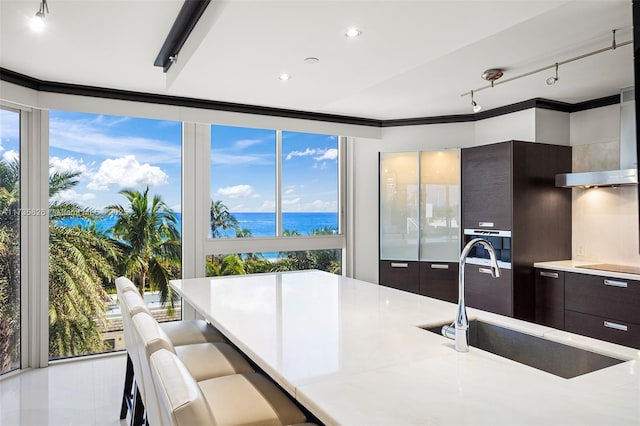 kitchen featuring floor to ceiling windows, rail lighting, sink, a water view, and dark brown cabinets