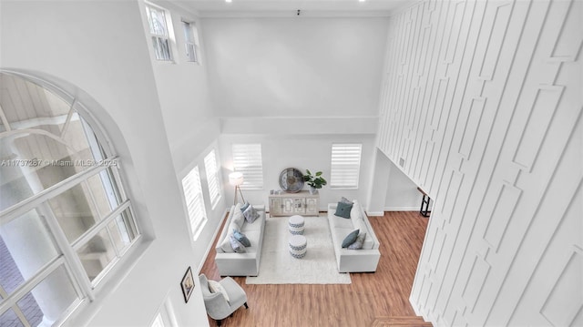 living area featuring a high ceiling and wood finished floors