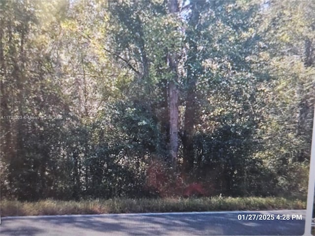 1142 Country Rd Fl 20A, FL, 32640 land for sale