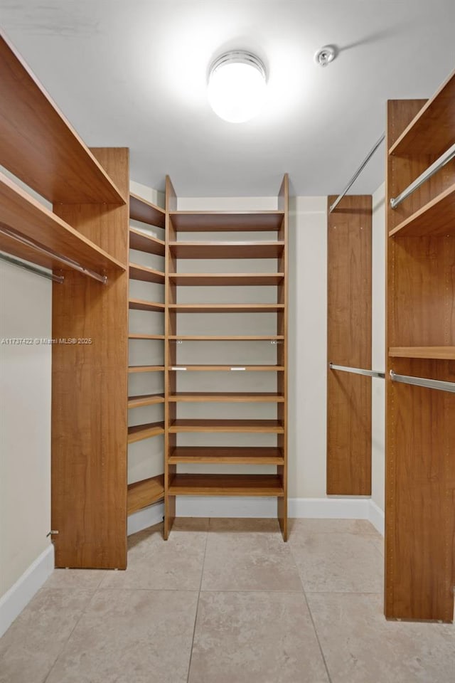 view of spacious closet