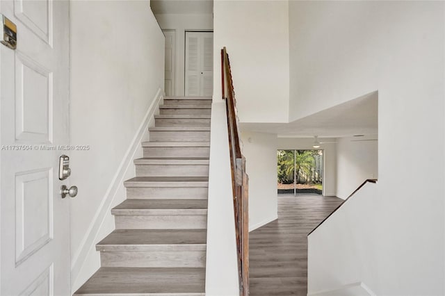 stairway featuring hardwood / wood-style flooring