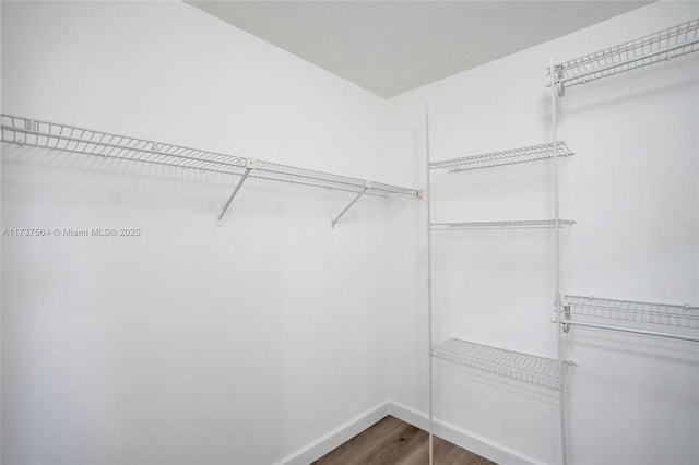 walk in closet with hardwood / wood-style flooring