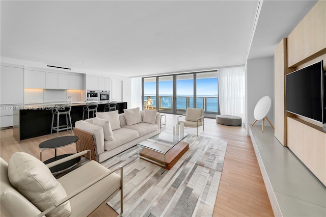 living room featuring sink, light hardwood / wood-style floors, and floor to ceiling windows