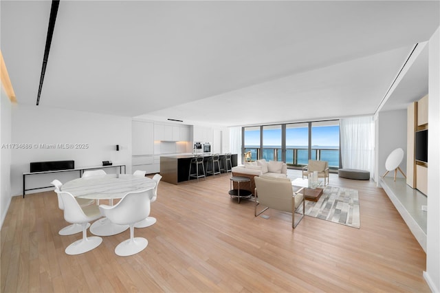 living room with expansive windows and light hardwood / wood-style floors