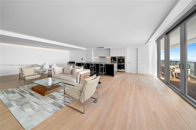 living room with light hardwood / wood-style flooring