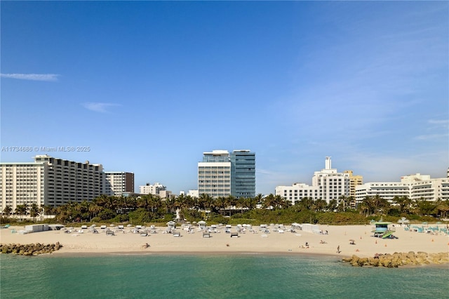 water view with a beach view