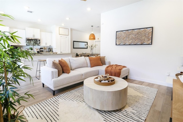 living room featuring wood-type flooring