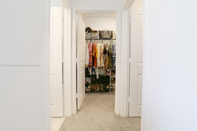 hallway featuring light carpet