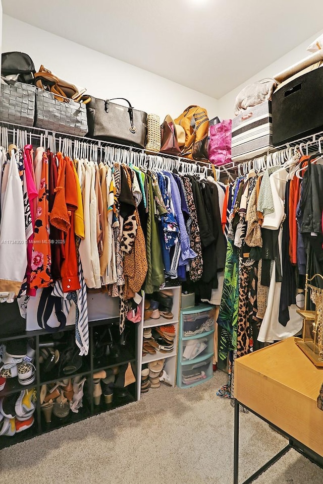 walk in closet featuring carpet floors