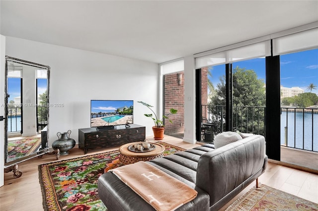 living room with expansive windows and light hardwood / wood-style floors