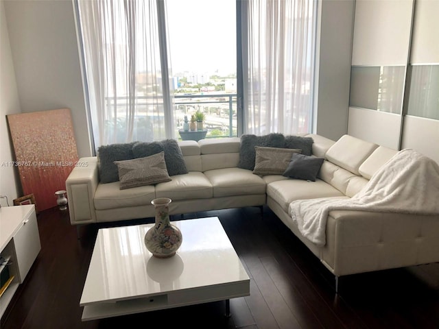 living room with dark hardwood / wood-style floors