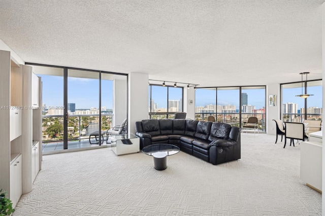 carpeted living room with expansive windows, a healthy amount of sunlight, and a textured ceiling