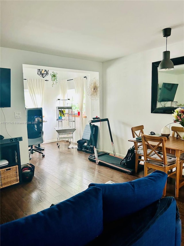 living room featuring hardwood / wood-style flooring