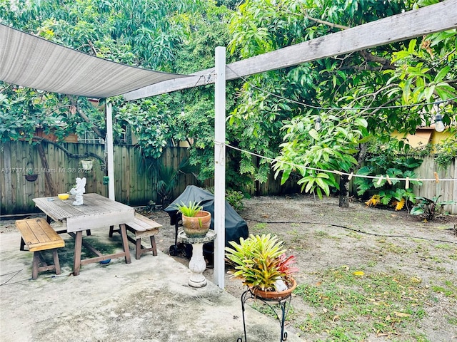 view of patio / terrace with a grill