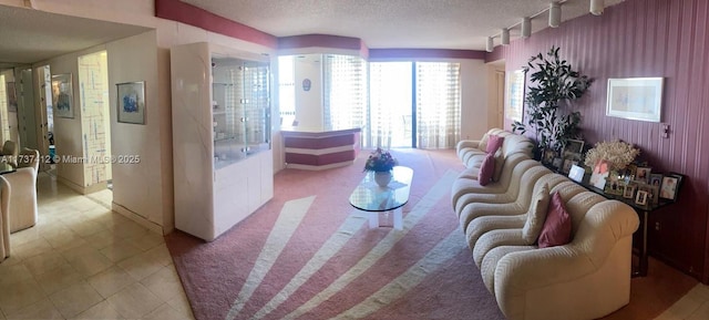 living area with a textured ceiling