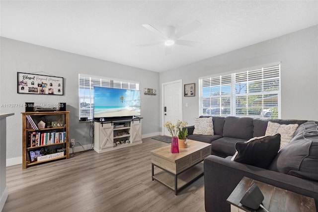 living room featuring ceiling fan and wood-type flooring