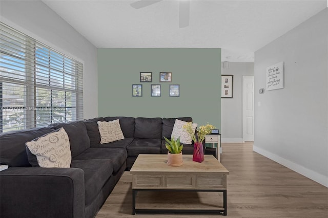 living room with ceiling fan and hardwood / wood-style floors