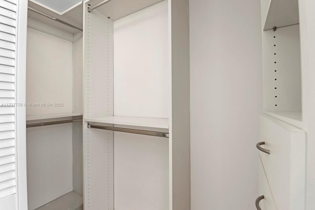 view of spacious closet