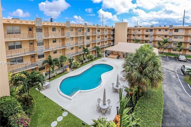 view of pool featuring a patio