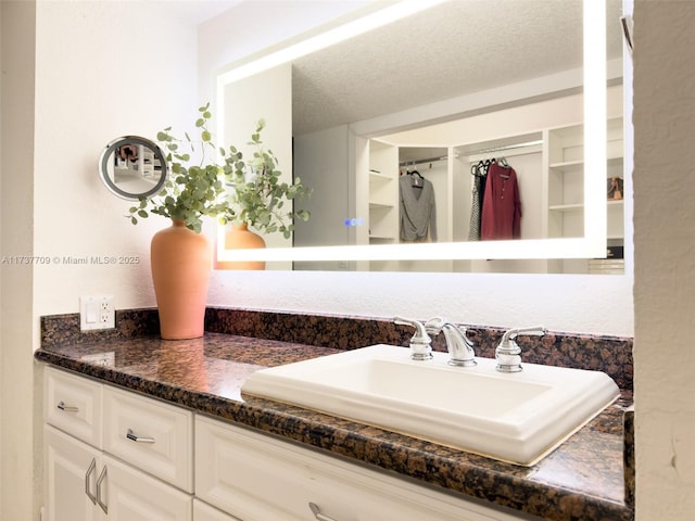 1450 Brickell Bay Dr Unit 306, Miami, FL 33131 - bathroom with vanity and a walk in closet