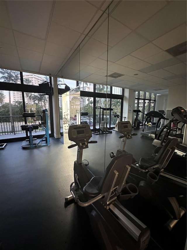 gym with expansive windows and a drop ceiling