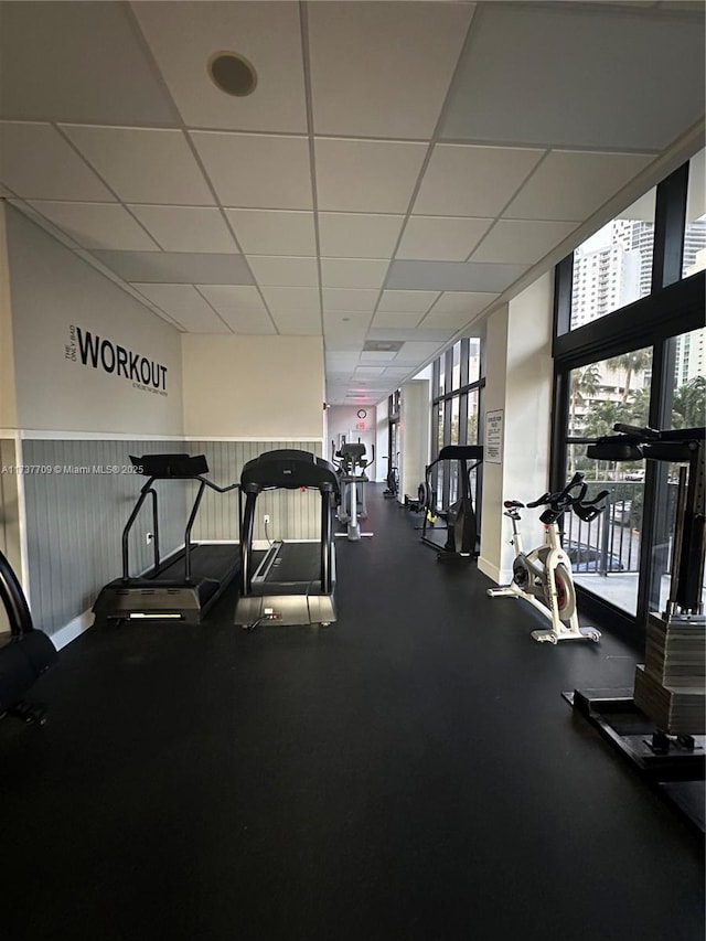 exercise room with expansive windows and a drop ceiling