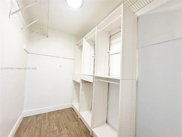 walk in closet with wood-type flooring