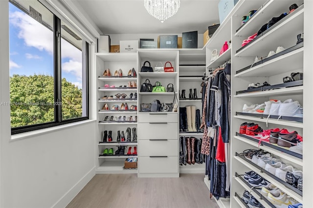 spacious closet with an inviting chandelier and light wood-type flooring