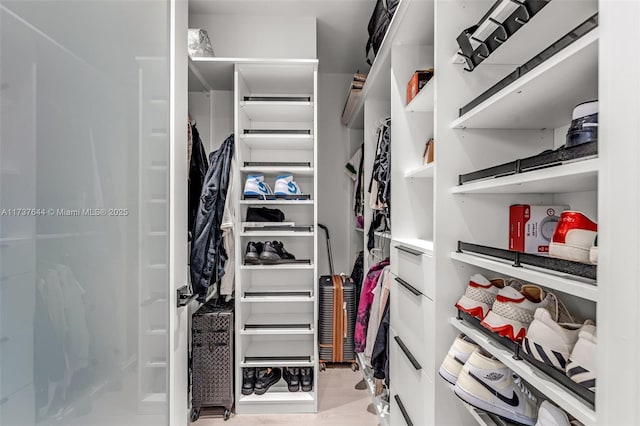 view of spacious closet