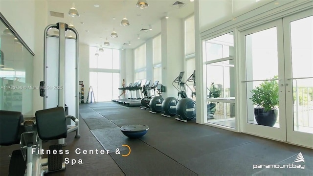 exercise room with a wealth of natural light and french doors