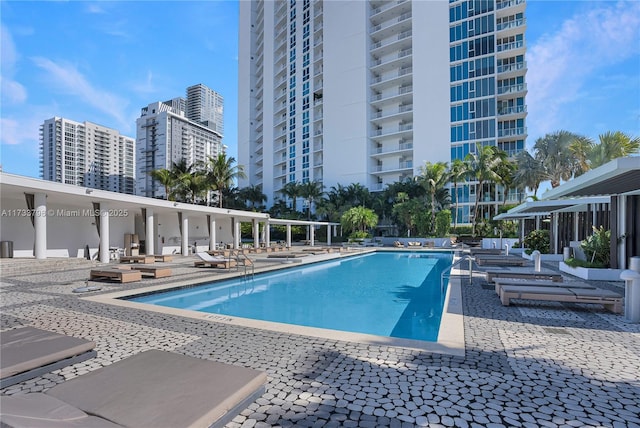 view of pool with a patio