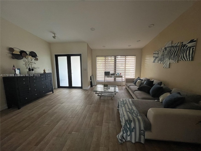 living room featuring wood-type flooring