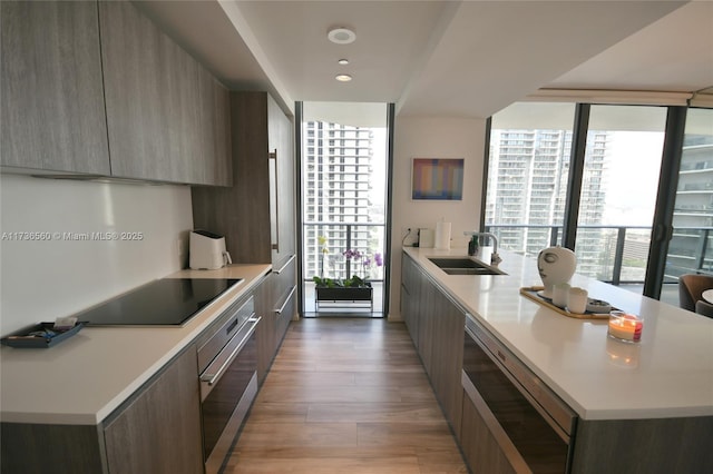 kitchen featuring floor to ceiling windows, sink, light wood-type flooring, black electric stovetop, and oven