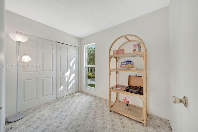 carpeted foyer with a textured ceiling