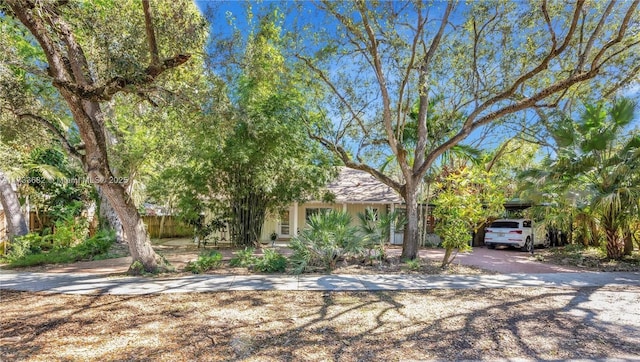 view of property hidden behind natural elements with a carport