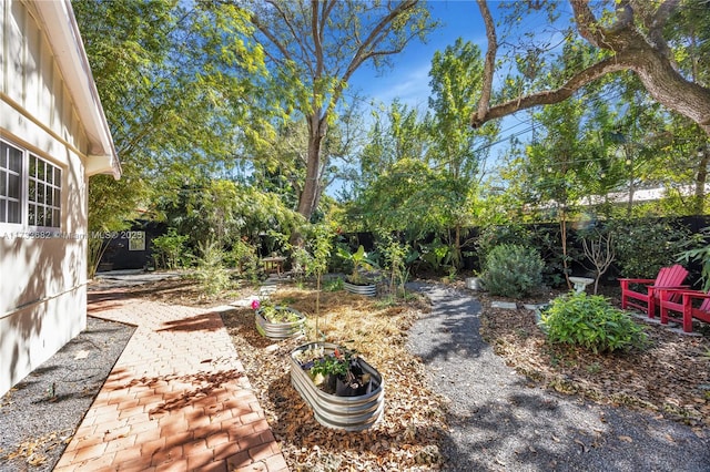 view of yard featuring a patio area