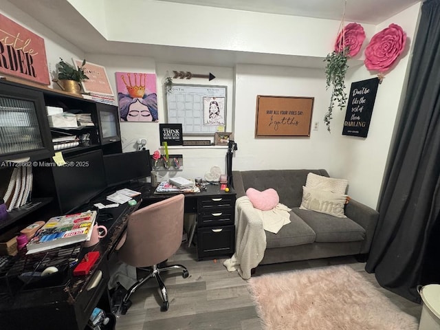 home office featuring light hardwood / wood-style flooring