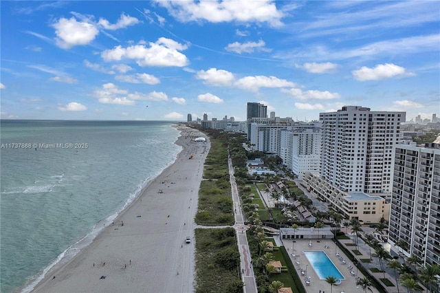 water view featuring a beach view