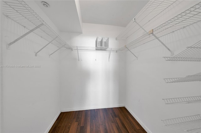 spacious closet featuring dark hardwood / wood-style flooring