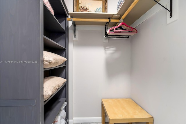 view of walk in closet