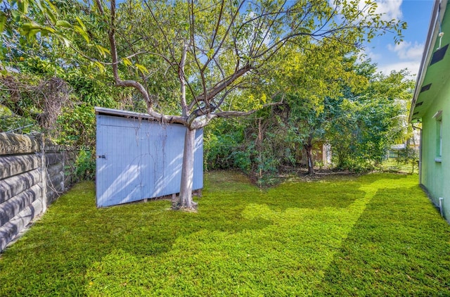 view of yard featuring a shed