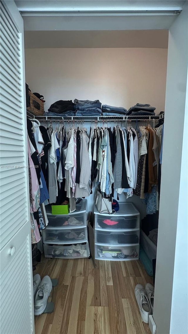 spacious closet with hardwood / wood-style flooring